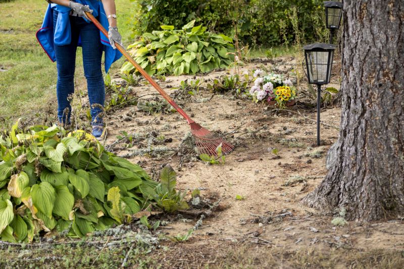 Forest Clearance Service