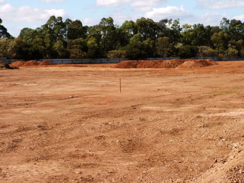 Finished Site with Level Ground