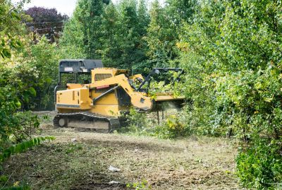Expect Professional Land Clearing