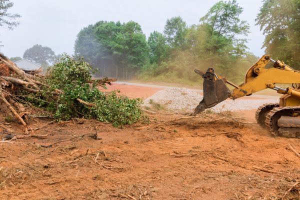 Cost of Forestry Mulching Service in Cuyahoga Falls