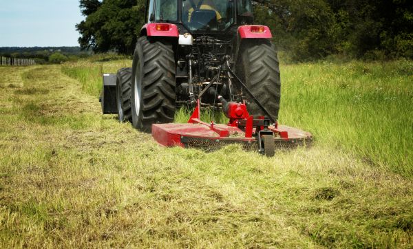 Cost of Brush Clearing Service in Cuyahoga Falls