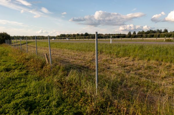 Cost of Property Line Clearing in Cuyahoga Falls